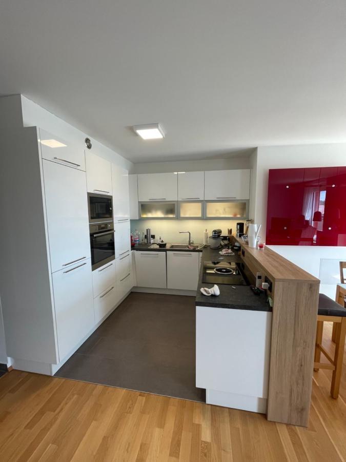 Penthouse Wohnung Am Radweg Mit Dachterasse Waidhofen an der Thaya Zewnętrze zdjęcie